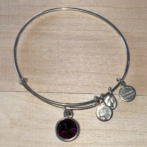 Amethyst Birthstone Alex and Ani Bracelet